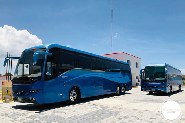 Servicio De Transportación Ejecutiva En Veracruz